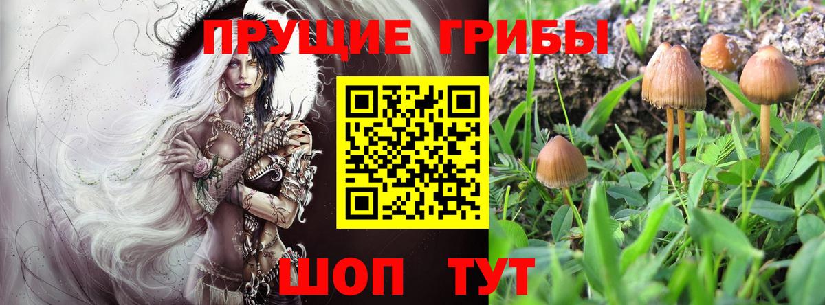 Богородск  Псилоцибиновые грибы мухоморы  Вход с VPN  Псилоцибиновые грибы мицелий 